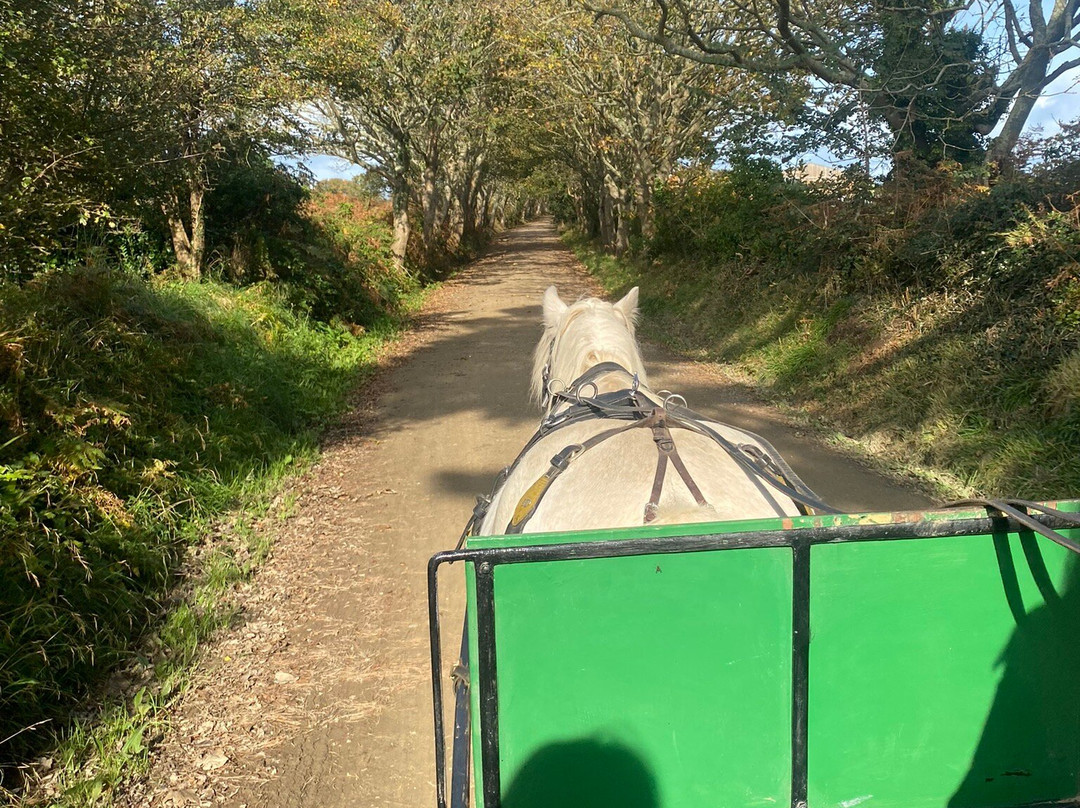 Sark Carriages-Sark必去景点