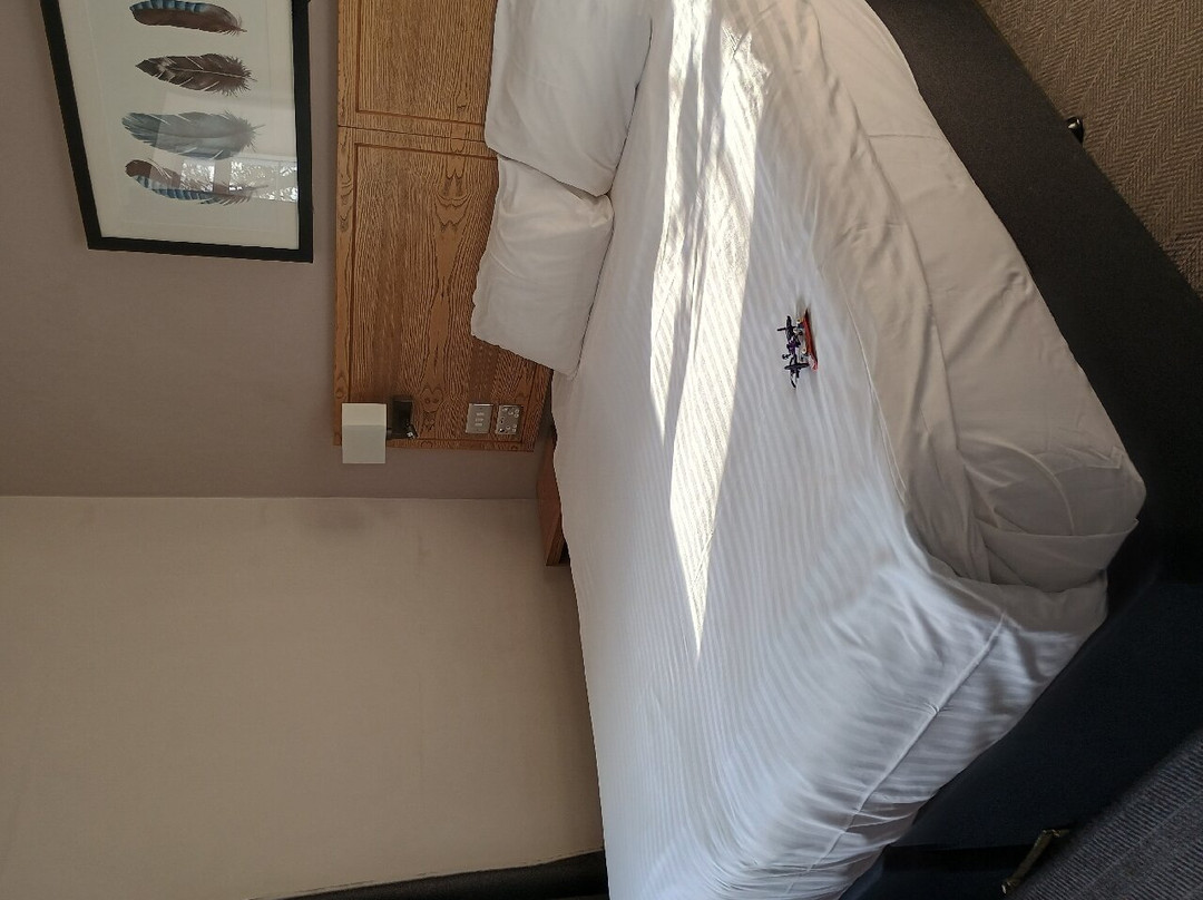 The Owl Hotel主图