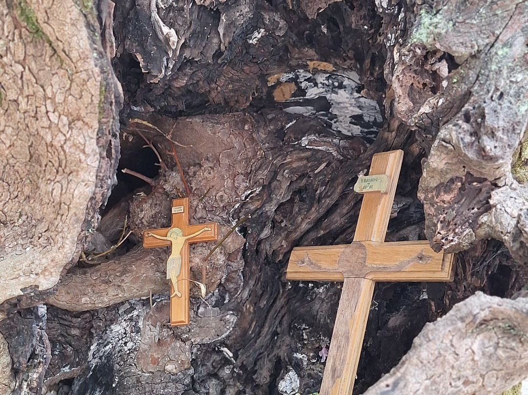 Agia Theodora-Vastas必去景点