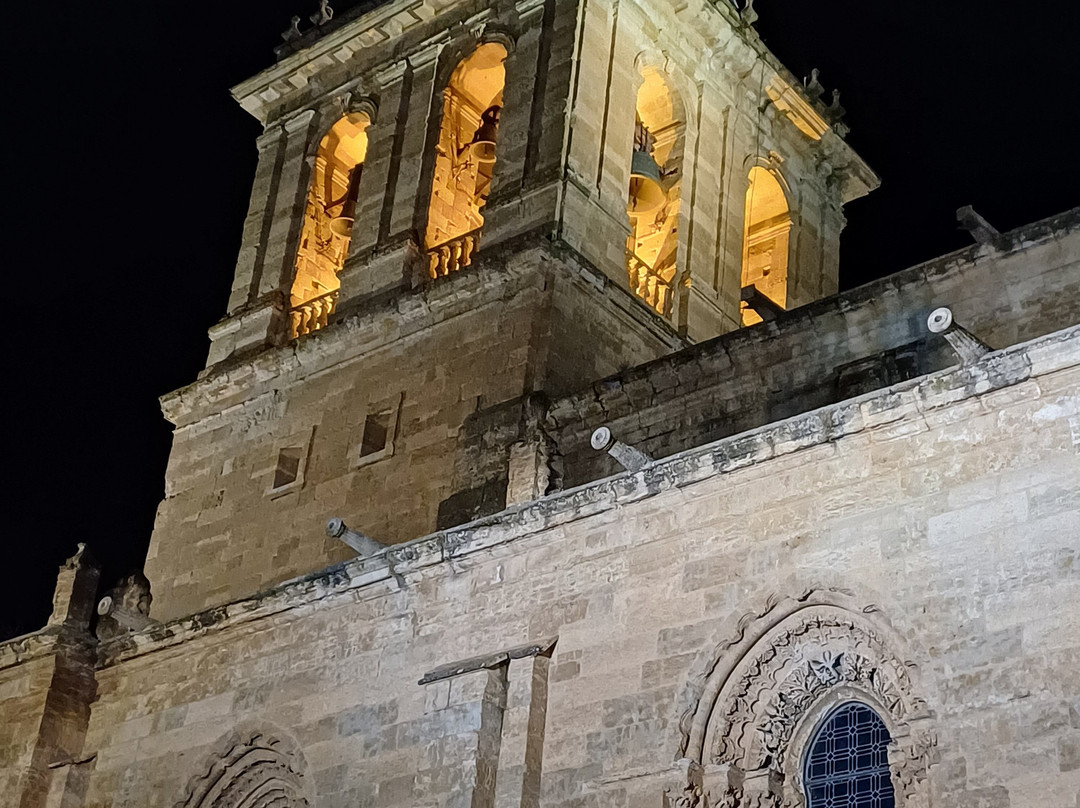 Catedral de Santa Maria景点图片