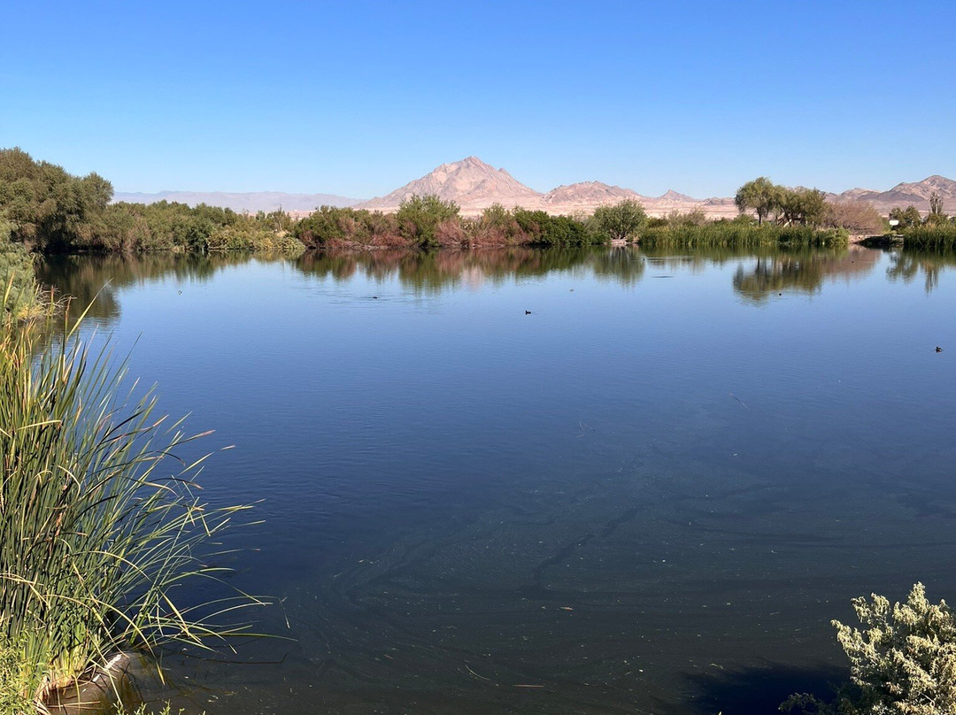 Henderson Bird Viewing Preserve-亨德森必去景点