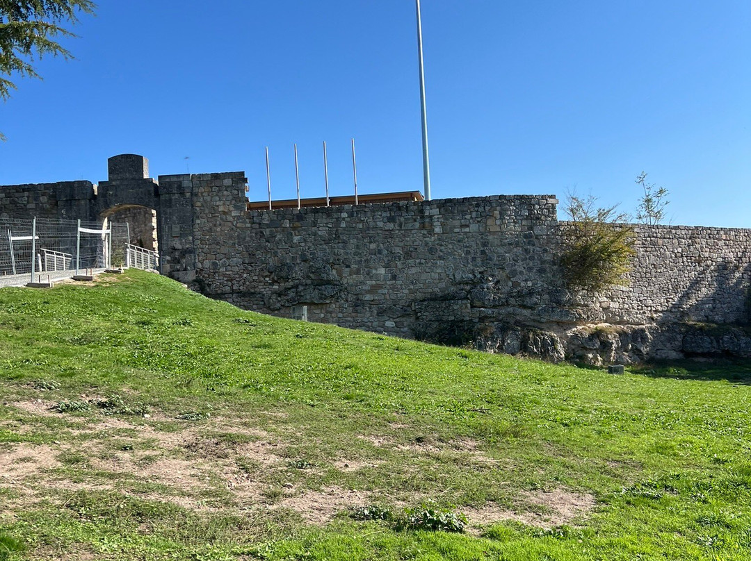 Castillo de Burgos景点图片