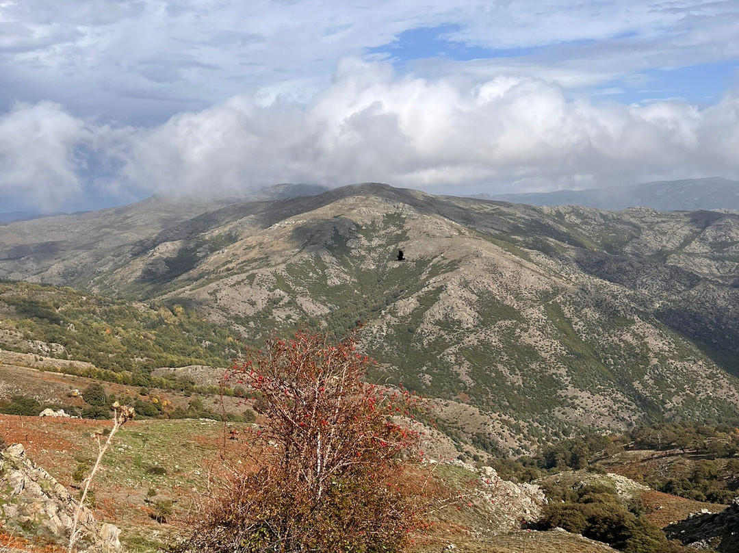 Bruncu Spina Et Punta Lamarmora-Desulo必去景点
