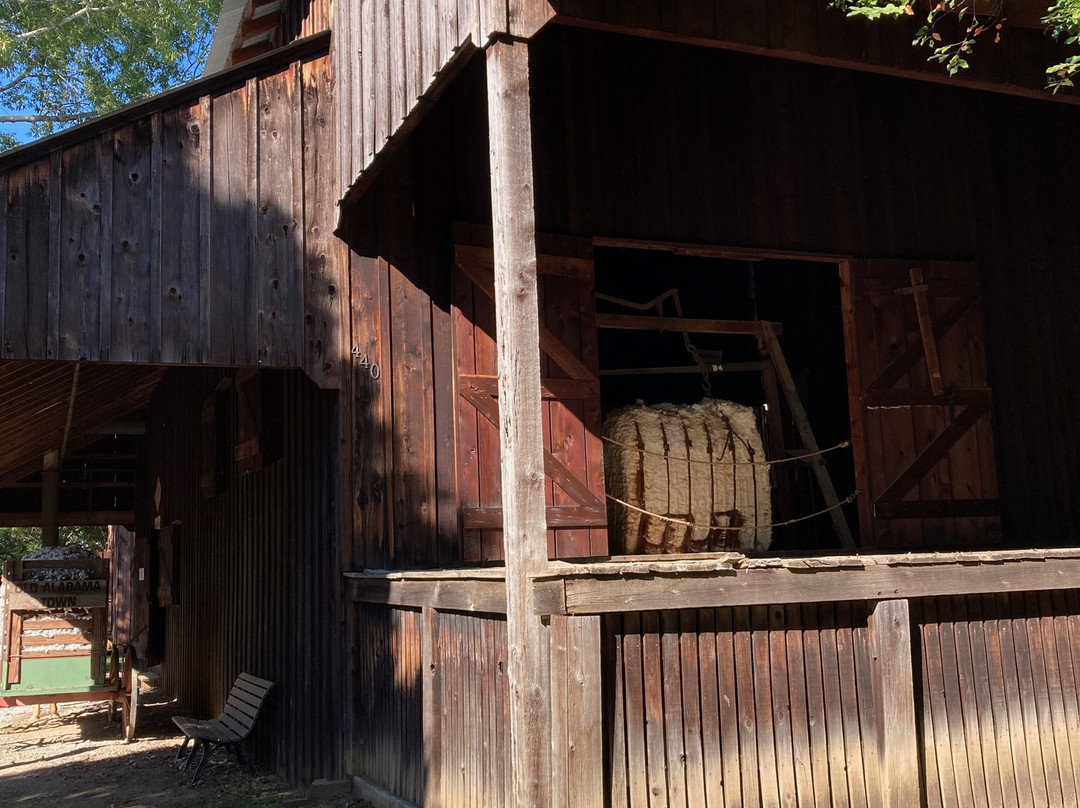Old Alabama Town-蒙哥马利必去景点