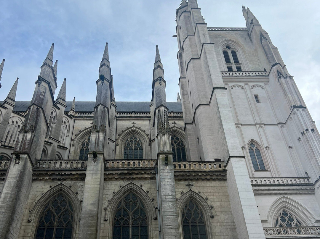Basilique Saint Nicolas景点图片