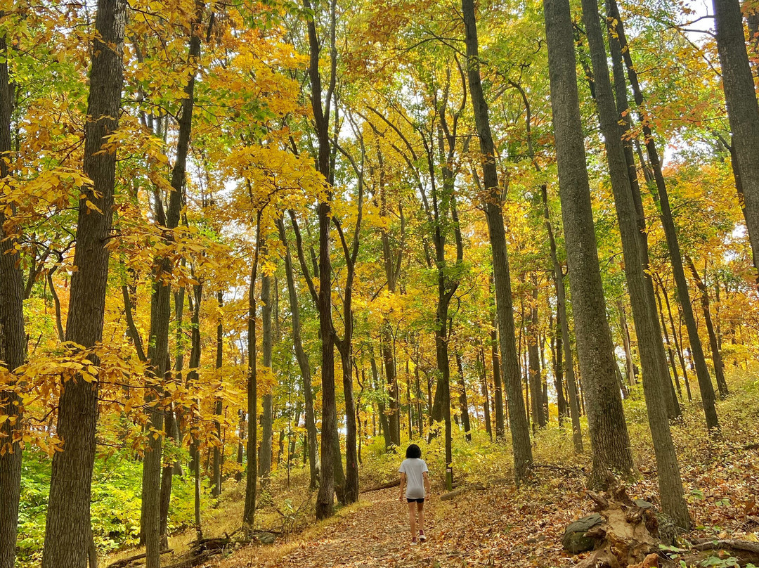 Sky Meadows State Park-Delaplane必去景点