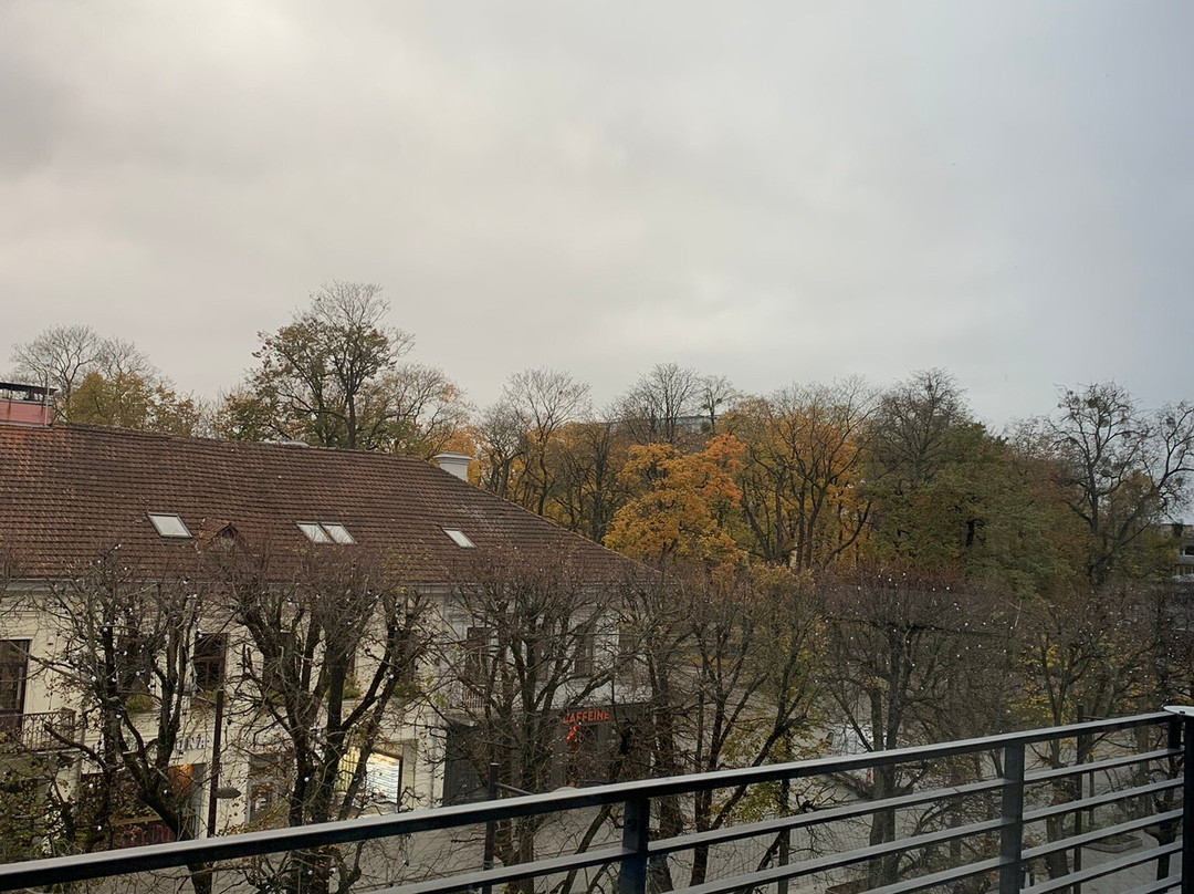 考纳斯城市酒店主图