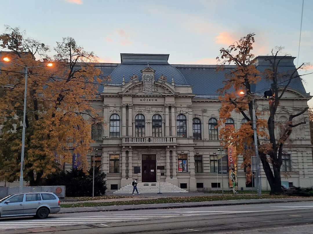East Slovak Museum in Kosice景点图片