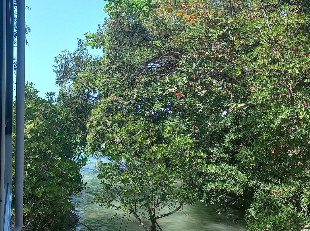 Whitsundays 2 Everywhere-艾尔利滩必去景点