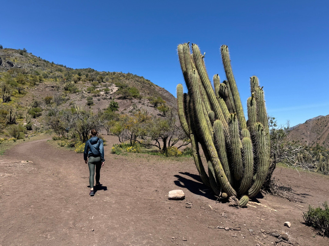 Mirador de Los Condores-圣若泽迈坡必去景点