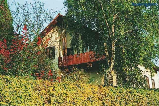 Gastehaus Heintz