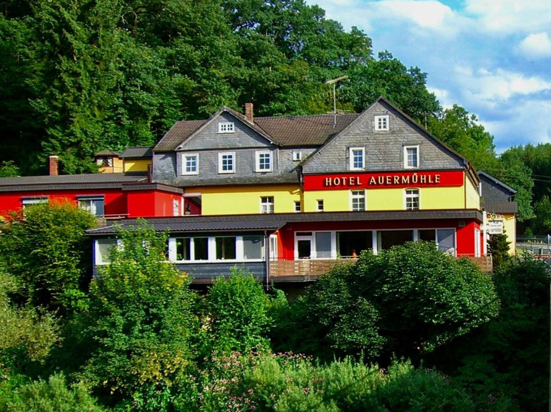 Hotel Auermuhle
