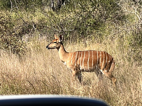 Thula Seats-白河必去景点