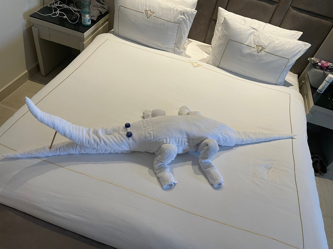 利克斯奥沙姆沙伊赫全包酒店主图