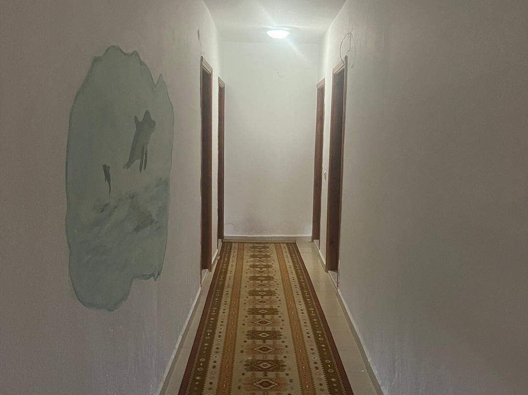 Patara Delfin Hotel主图