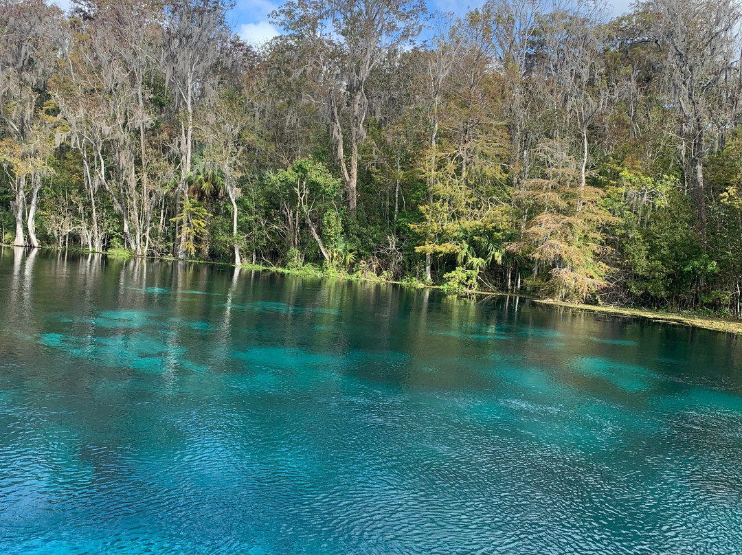 Captain Rob-Silver Springs必去景点