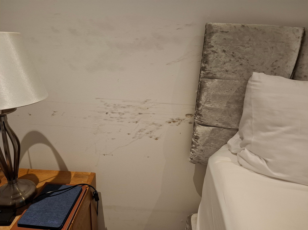 Drumdevan Country House主图