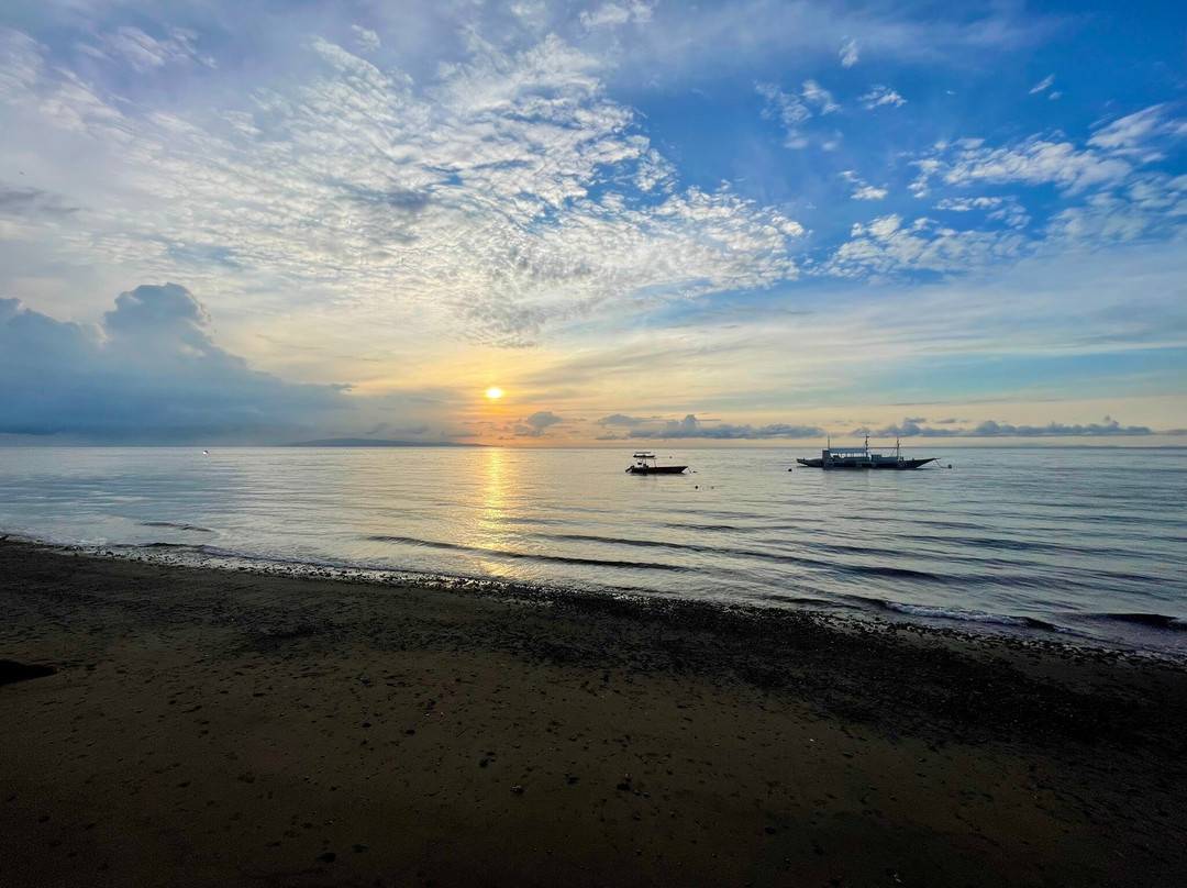 Enfield Scuba and Watersports-Enfield必去景点