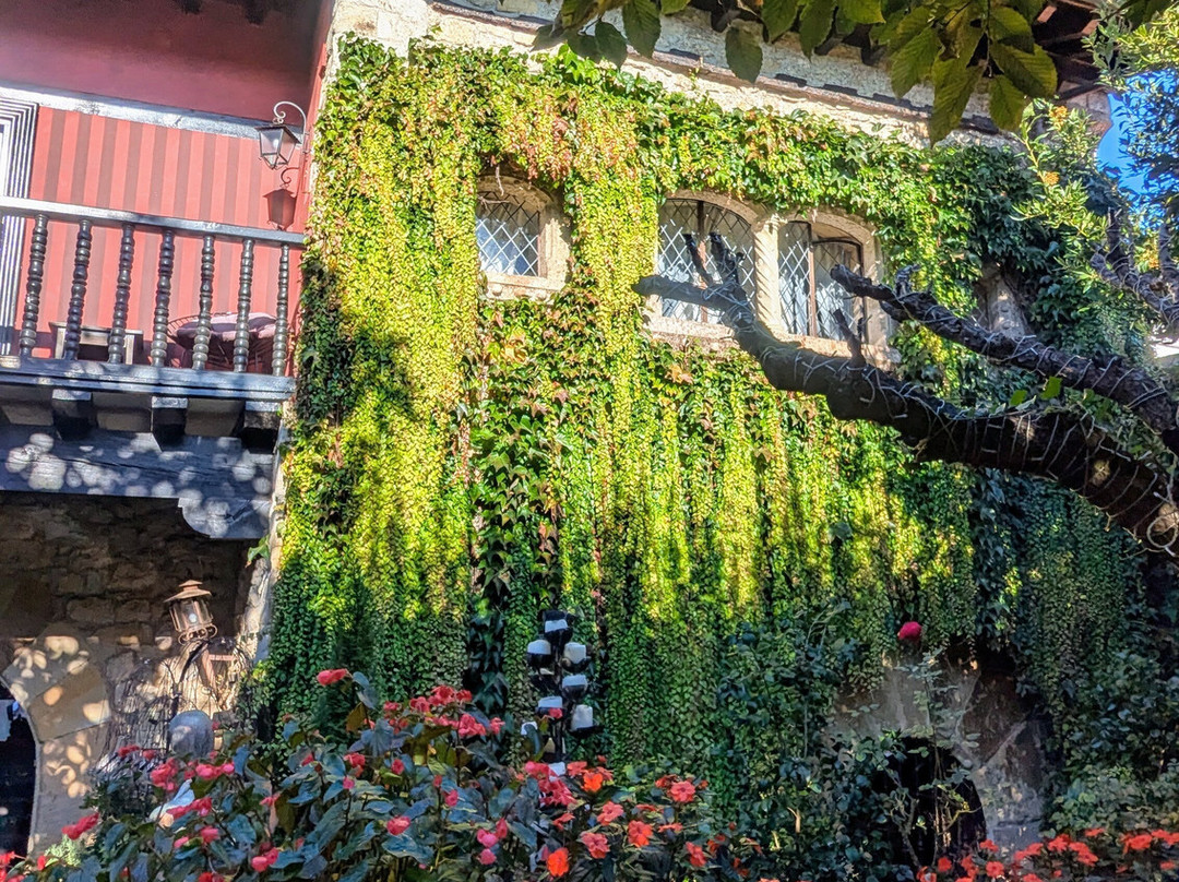 Hotel Casa del Marques主图