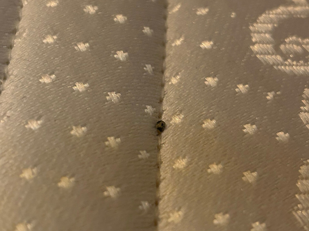 Salamis Bay Conti Resort Hotel & Casino主图