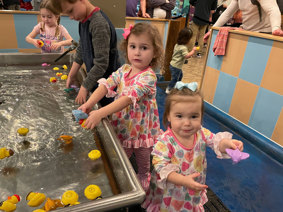 The Woodlands Children's Museum-伍德兰兹必去景点