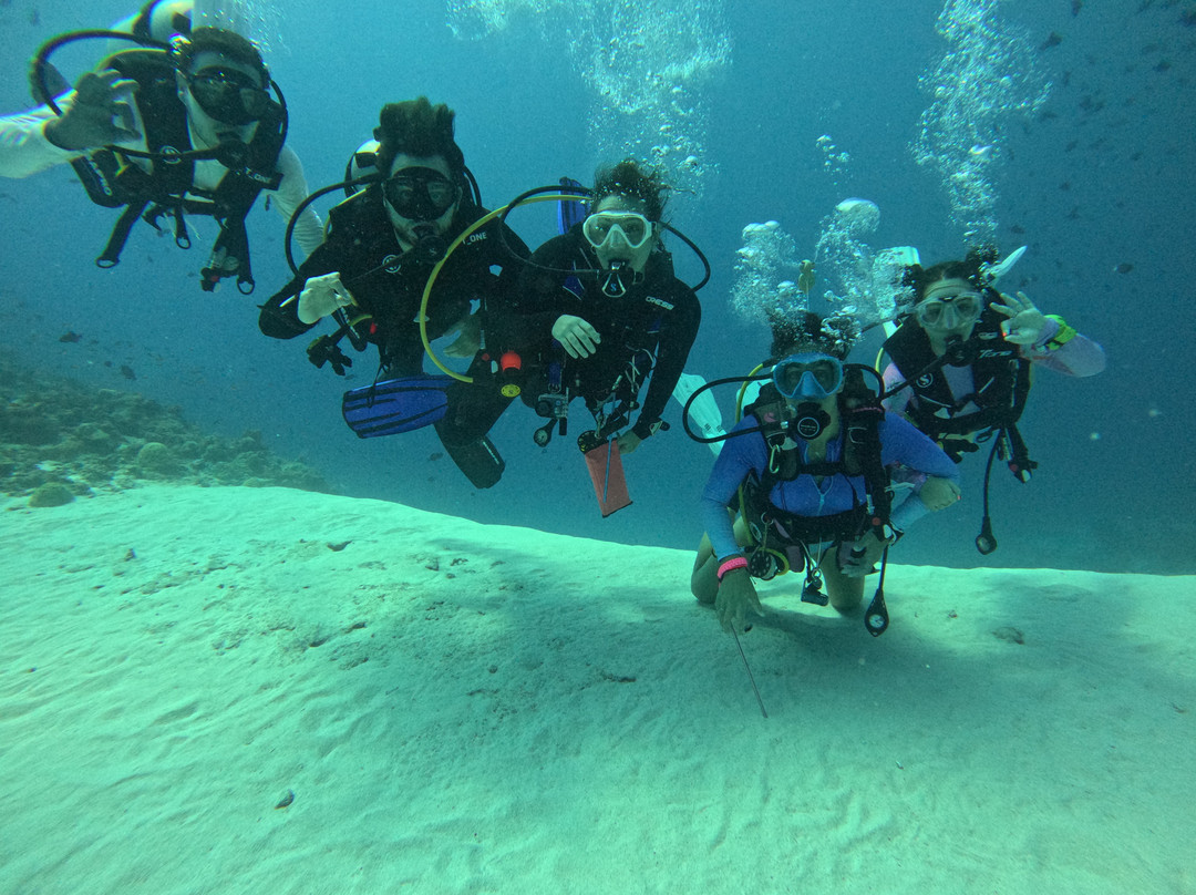 Reef Rangers Ukulhas景点图片