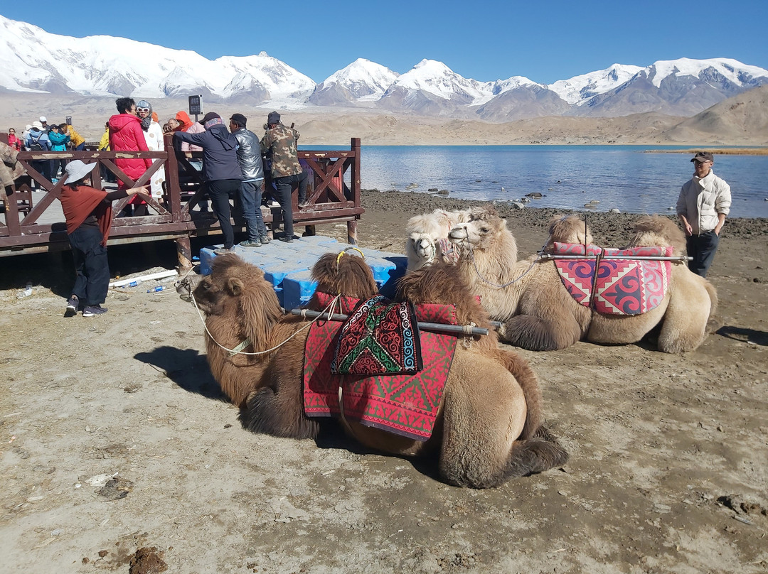 白沙山-阿克陶县必去景点
