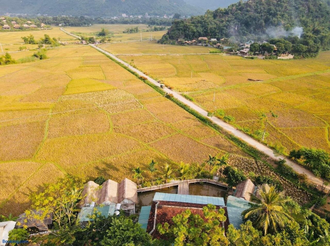 Mai Chau Rice Fields Homestay