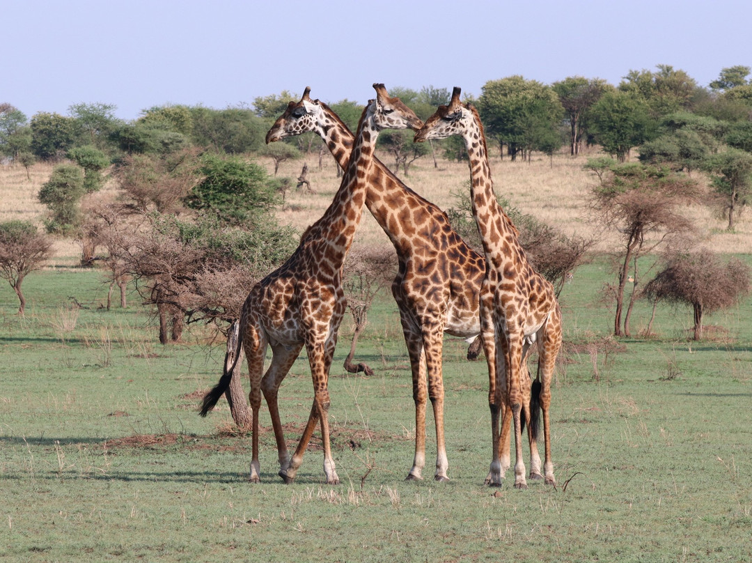 Extreme Expedition Tours-卡拉图必去景点