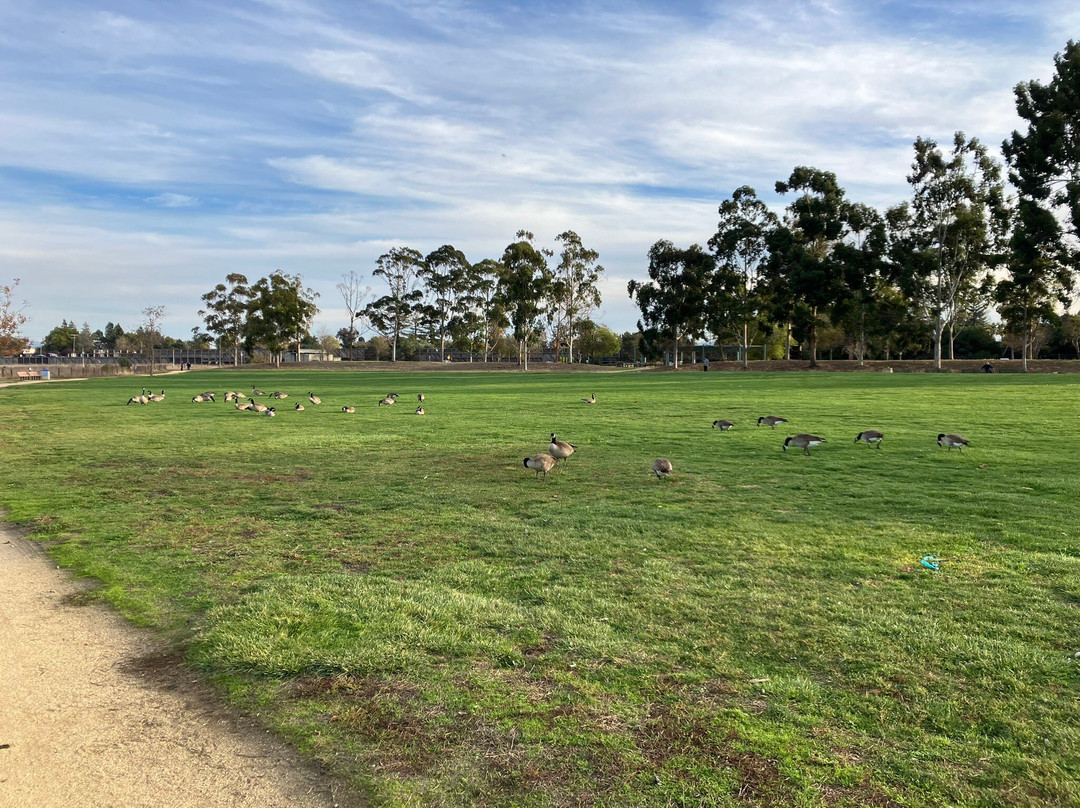 Baylands Park-森尼韦尔必去景点