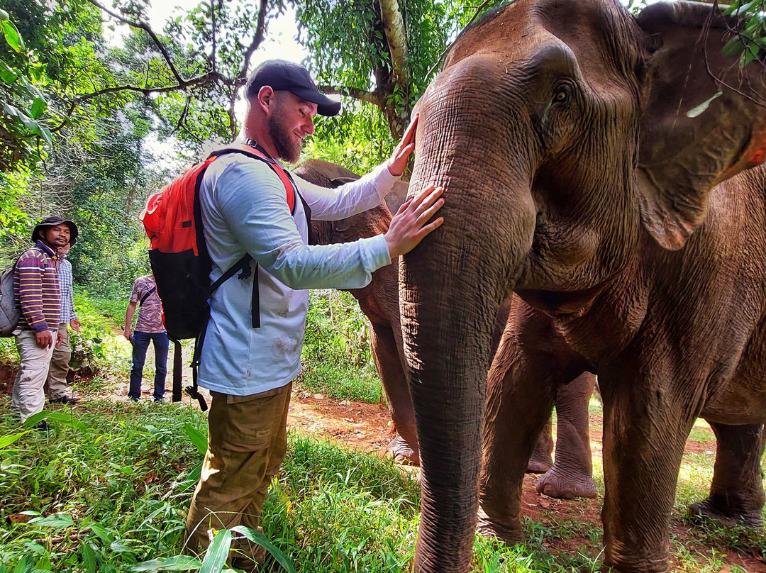 Elephant Community Project - Day Tours景点图片