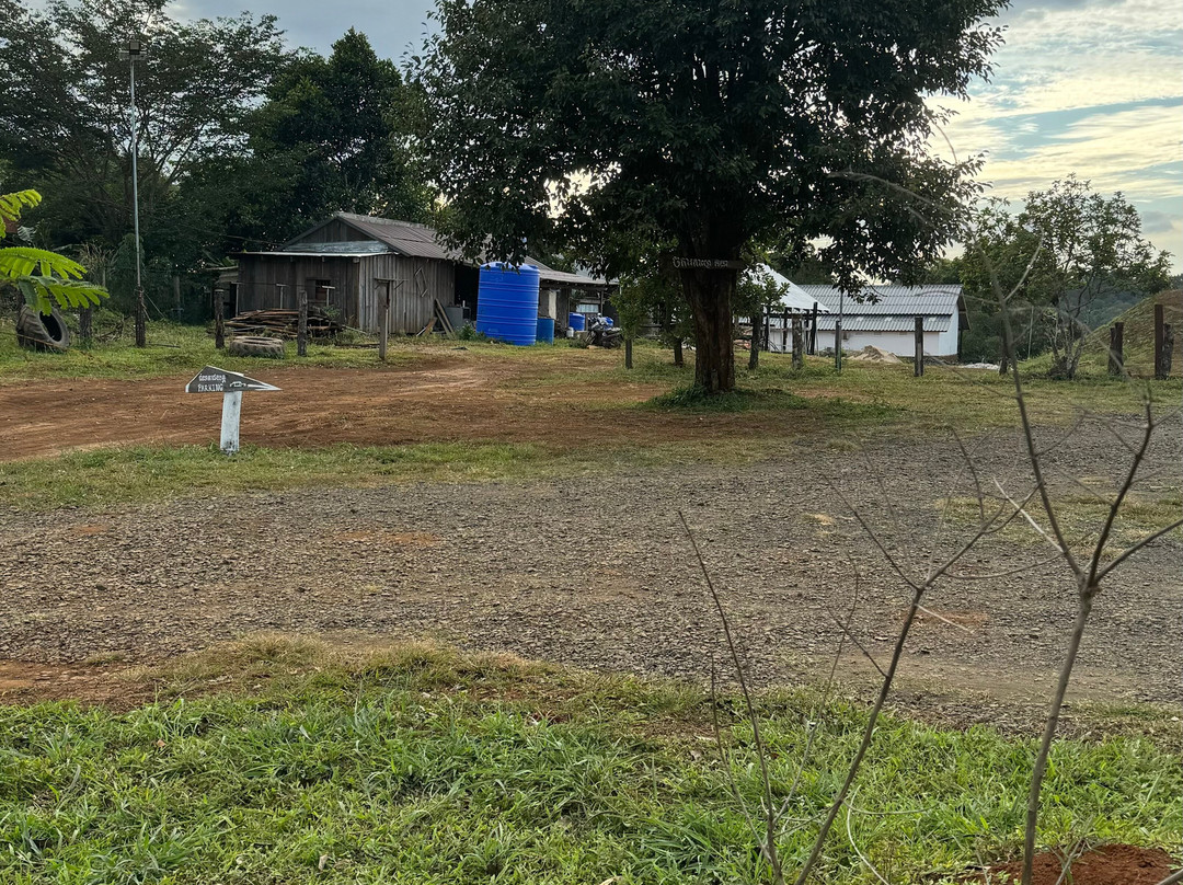 Pida Coffee Farm-森莫诺隆必去景点