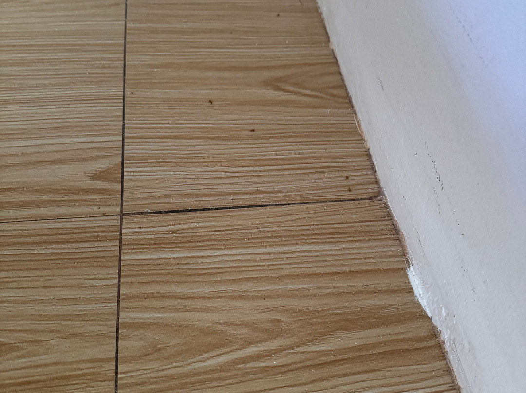 Siargao Latitude 10主图