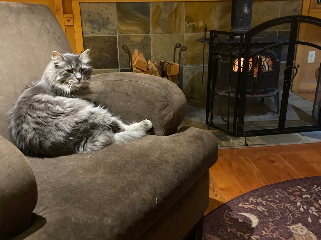 Sleeping Lady Mountain Resort主图