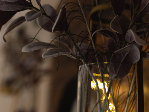 Owen House Farm主图