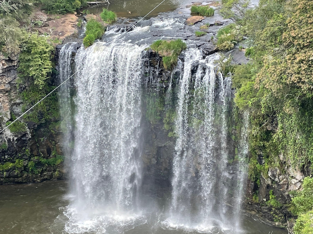 Dangar Falls景点图片