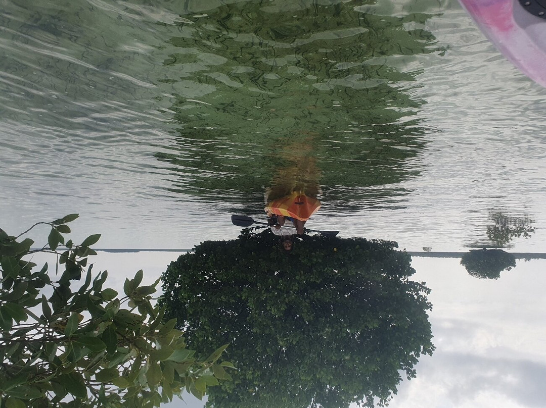 Ally Kayak-米查维必去景点