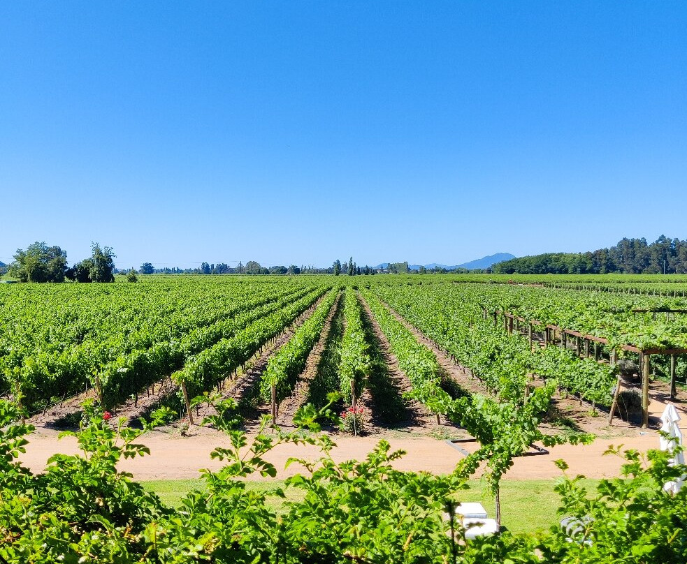 MontGras-Palmilla必去景点