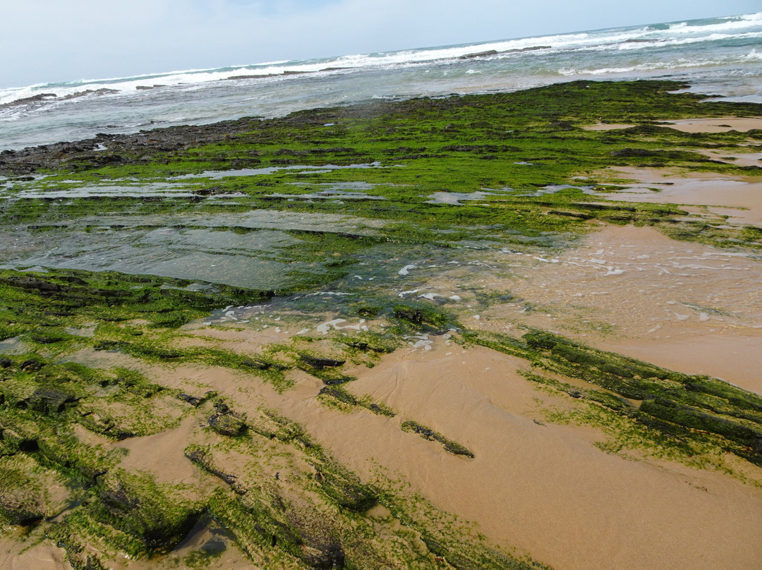 Parque Natural do Sudoeste Alentejano e Costa Vicentina-阿尔加威必去景点