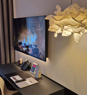 The Manes Boutique Hotel Prague主图