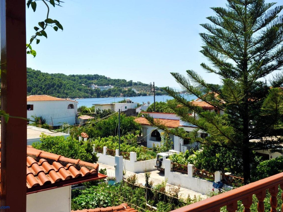 Chrissomalli Sofia Studios主图