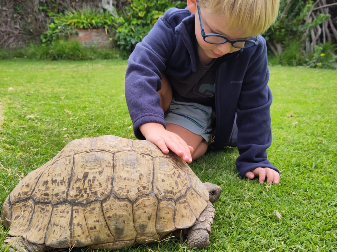 Snake Park-斯瓦科普蒙德必去景点