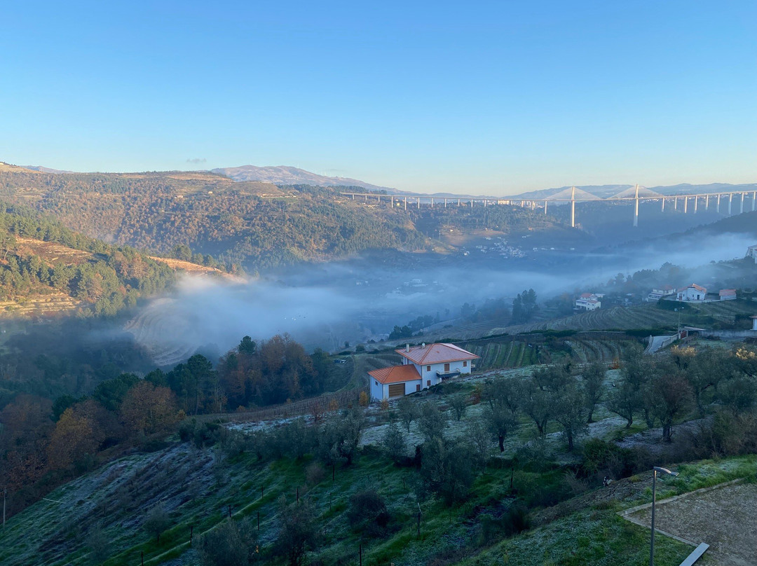 MW Douro Wine & Spa主图