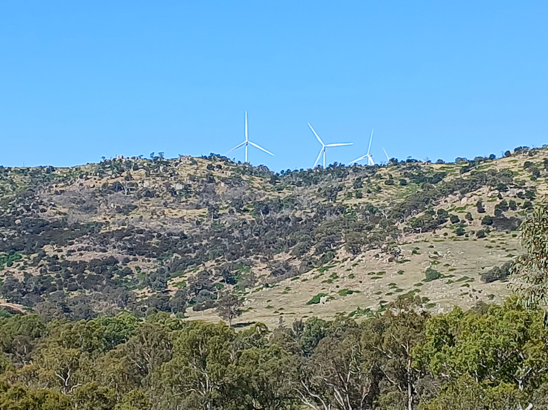 The Trawool Estate主图