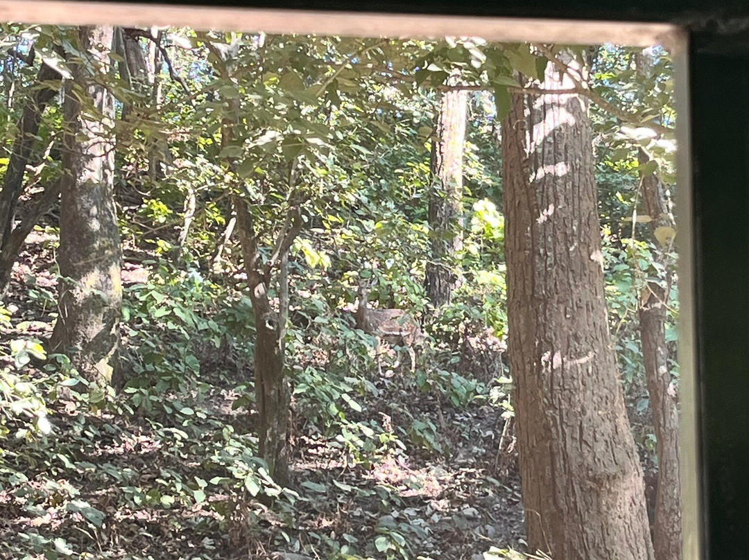 Jim Corbett National Park-Ramnagar必去景点