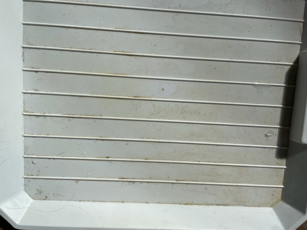 Ceespray on Owen主图