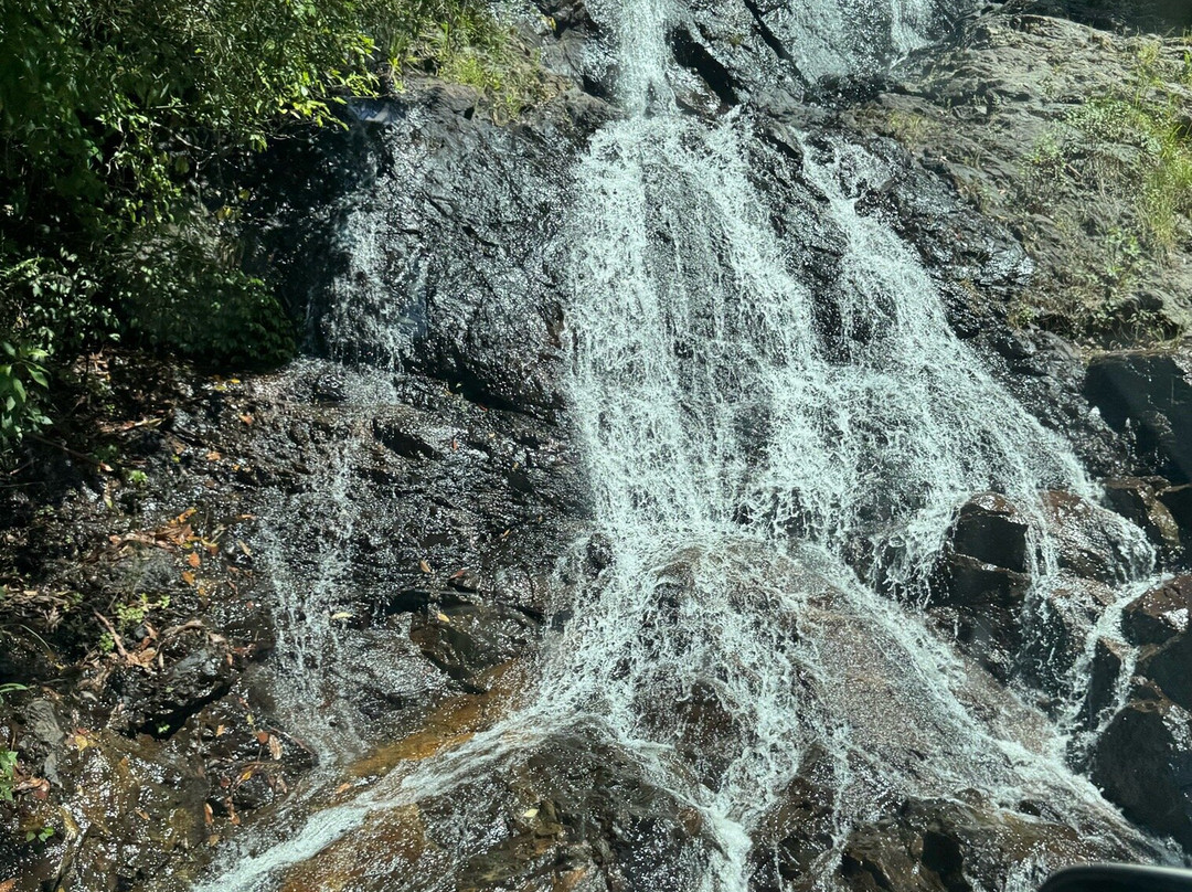 Waterfall Way景点图片