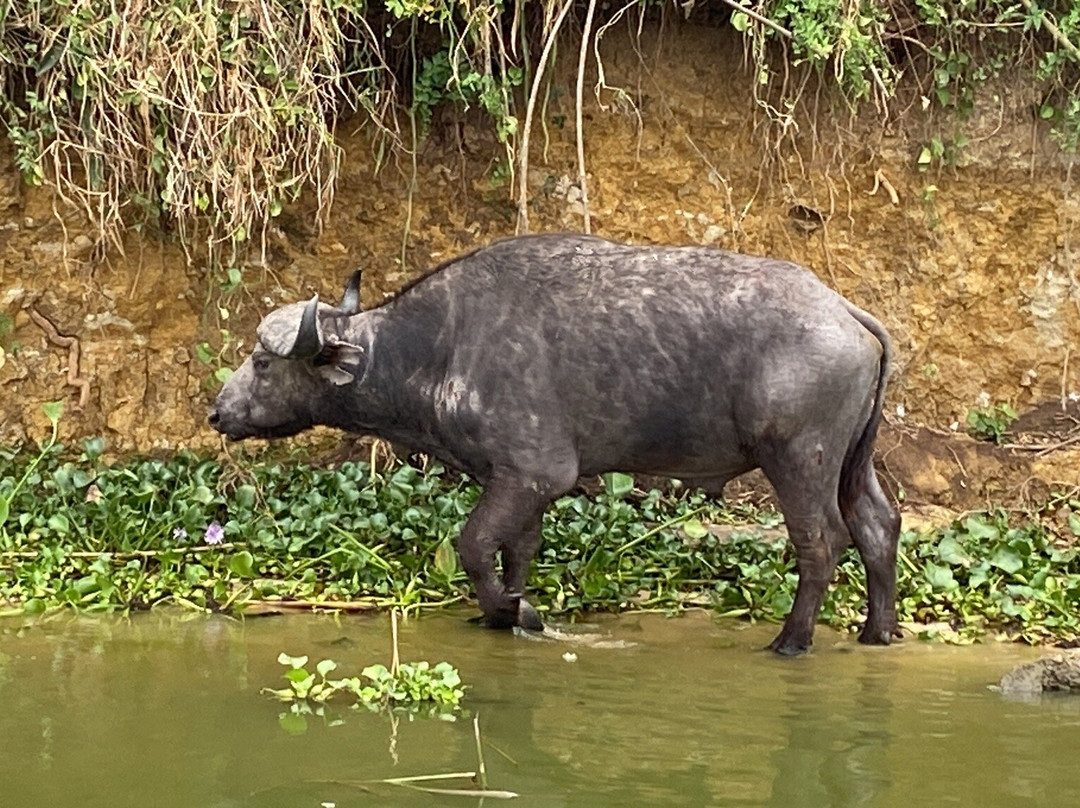 Katona Tours and Travel-吉佳利必去景点