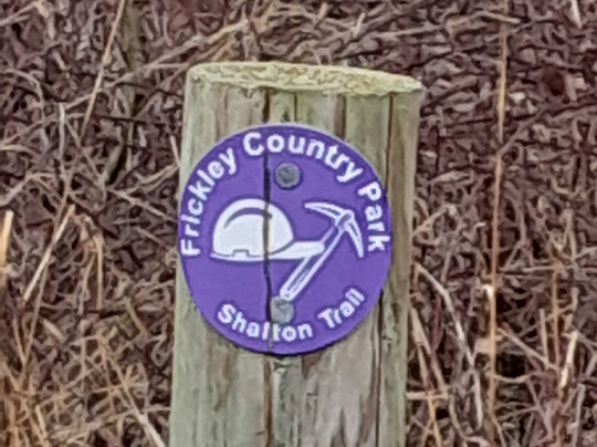 Frickley Country Park-South Elmsall必去景点