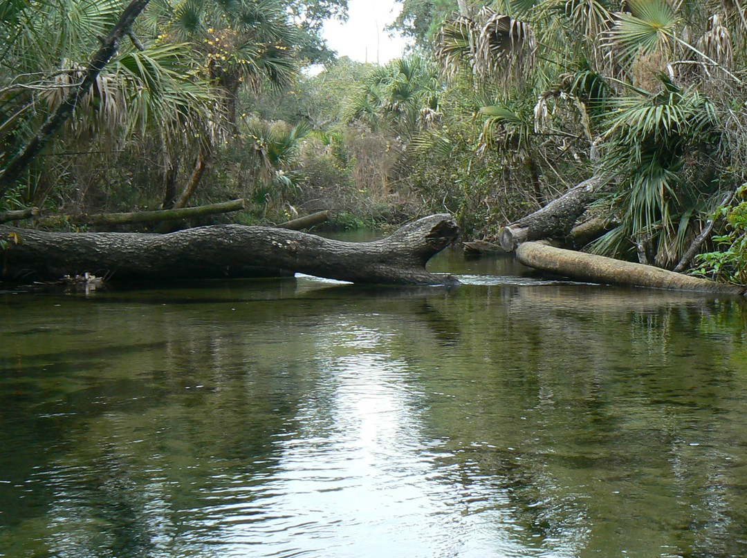 Juniper Springs Recreation Area-Silver Springs必去景点